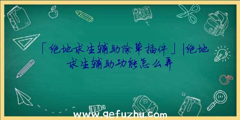 「绝地求生辅助除草插件」|绝地求生辅助功能怎么弄